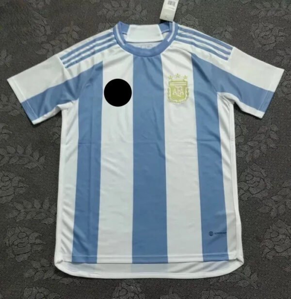 Argentina 2024 Copa America Home Man Jersey